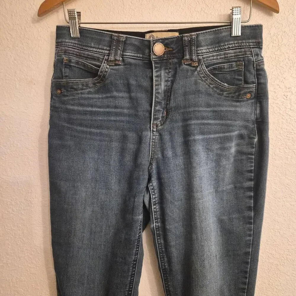 Democracy Stretch Denium Jeans w/ Ab Technology: 6: Flattering Feminine Fit